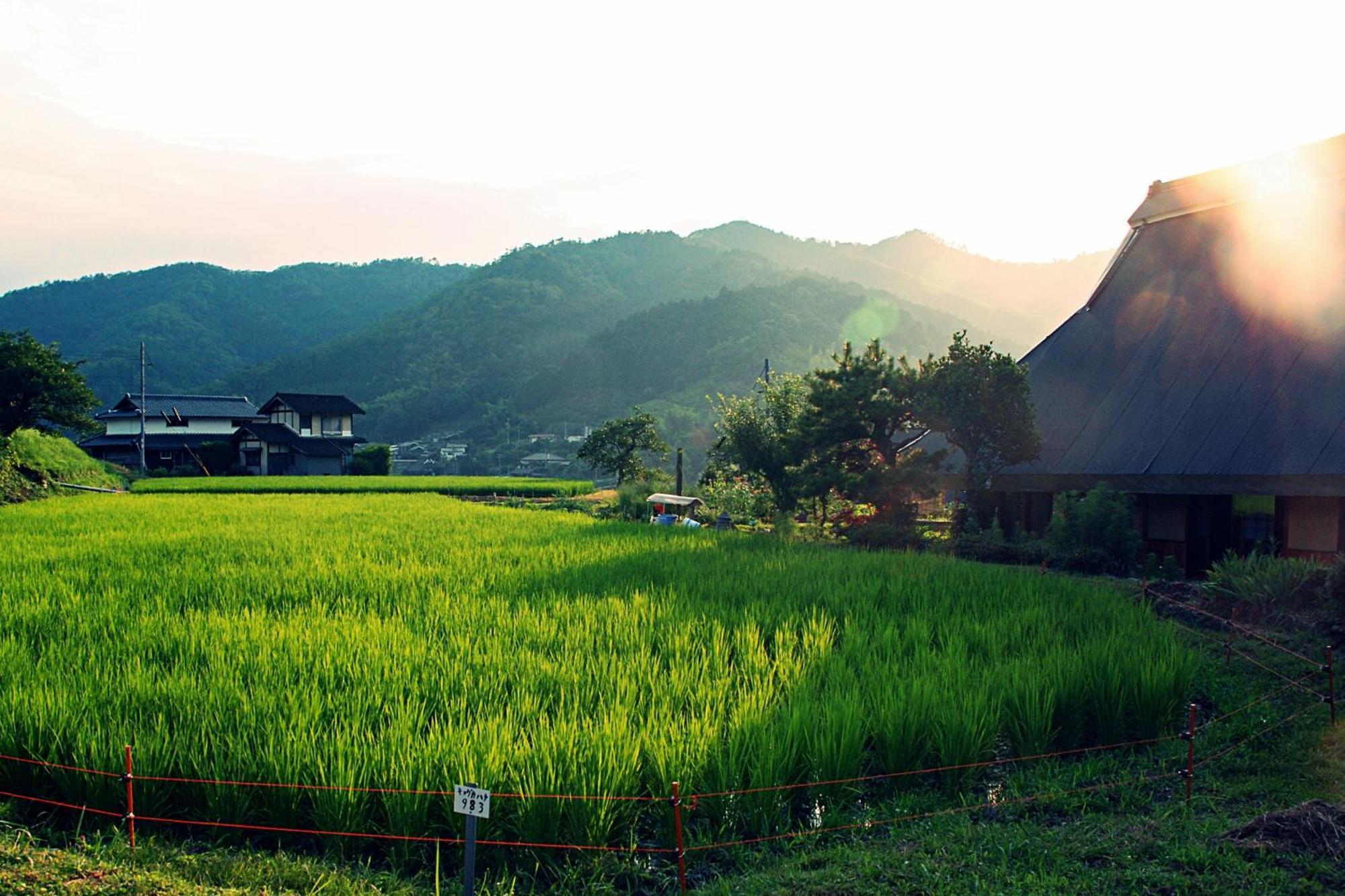 古民家の宿 ふるま家 Furumaya House Gastronomic Farmstay In Deep Kyoto Fukuchiyama Buitenkant foto