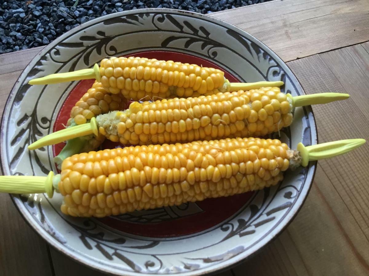 古民家の宿 ふるま家 Furumaya House Gastronomic Farmstay In Deep Kyoto Fukuchiyama Buitenkant foto